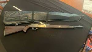 lot 7102 image: Remington 22 LR