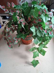 lot 70 image: Made in Italy Glazed Ceramic Planter with Faux Plants approx 16 in tall
