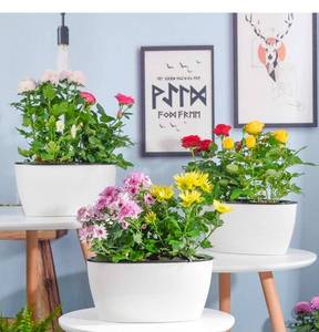 lot 18317 image: Sungmor Set of 3 Self-Watering Planter Pots - Modern White Plastic Flower Pots for Indoor Plants - Oval IndoorOutdoor Planters with Water Reservoir, Home & Office DecorOval IndoorOutdoor Planters with Water Reservoir, Home & Office Decor - Retail $0