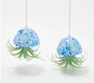 lot 1818 image: Ultimate Innovations Set of 2 Glass Jellyfish w Faux Plants