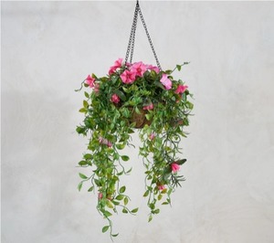 lot 1907 image: Garden Reflections 14 Hanging Basket, see note.