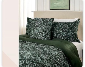 lot 1960 image: Northern Nights Paisley Comforter 4-Piece Set- Full