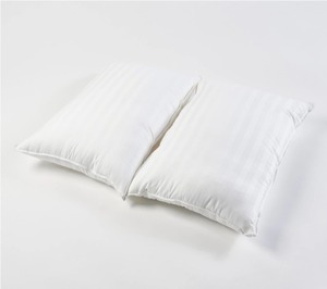 lot 2006 image: Northern Nights Set of 2 Queen Luxury Plush or Firm Pillows