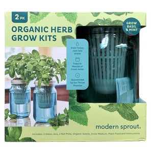 lot 18626 image: Modern Sprout Organic Herb Grow Kit, 2pk
