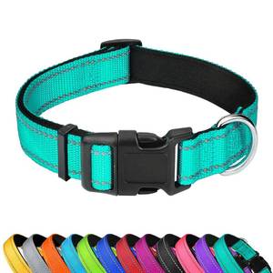 lot 6450 image: PWOD Reflective Dog Collar, Adjustable Soft Neoprene Padded,Teal,M