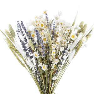 lot 20314 image: ACRYCS Dried Flowers Bouquet Dried Daisy Flowers Natural Lavender Dried Flowers Bunny Tails Gerber Daisies Flowers Wheat Stalks Floral Arrangements for Wedding Table Centerpiece Decor Farmhouse DIY