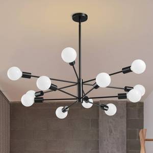 lot 1103 image: RUIYEY Modern Sputnik 12-Light Chandelier Black  Retail $108.99