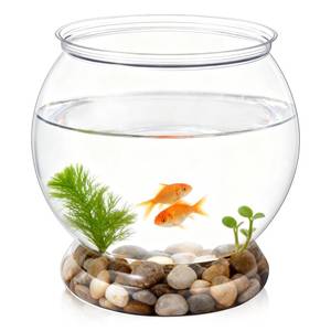 lot 2368 image: Larrel Mini Plastic Fish Bowl, 38 Oz