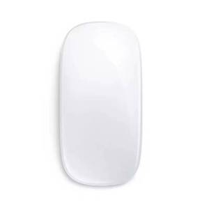 lot 2383 image: LuolaProject Wireless Multi-Touch Bluetooth Mouse