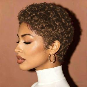 lot 2456 image: SisBroSis Pixie Cut Human Hair Wig Brown