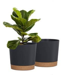 lot 19499 image: Kubota Plant Pots 8 Inch 2-Pack with Drainage Saucers