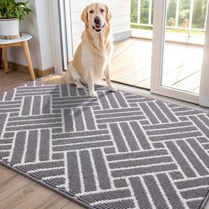 lot 19507 image: OLANLY Indoor Door Mat 40x32 Inch Grey