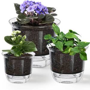 lot 19564 image: IWNTWY Self Watering Plant Pots Set of 3 (654 inch)