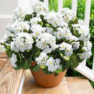 lot 1207 image: Artificial Geranium Fake Flowers for Outdoors Decoration, 6 Bundles Silk Geraniums White Flower UV Resistant Look Real Faux Plants for Front Door Garden Porch Planter Patio Balcony Yard Indoor Home