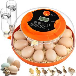 lot 3475 image: 18 Egg Incubators for Hatching Eggs, Automatic Egg Turning and Humidity Control Incubator for Hatch Chicken Duck Quail Pigeon Pheasant Partridge Home Classroom Lab-