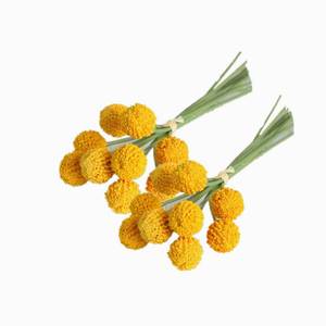 lot 20113 image: 18Stems Fake Flowers Golden Billy Balls,10 Artificial Billy Button Bouquet