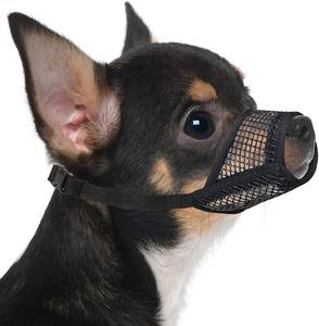 lot 20119 image: Mayerzon Dog Muzzle, Soft Mesh Muzzles for Small Dogs Biting  Black, XS