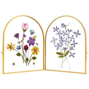 lot 1145 image: REDHUGO Double Glass Frame for Pressed Flowers Arc Gold, 8�10 Inches