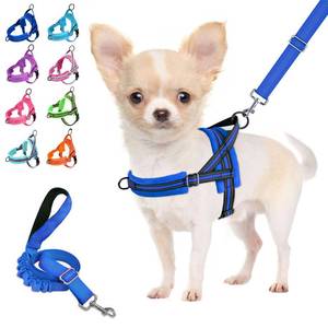 lot 6256 image: Lukovee Small Dog Harness and Leash Set, No Pull Soft Padded Vest