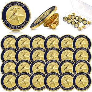 lot 8362 image: Dingion 24 Pcs Employee of The Month Lapel Pin 34 Inch Coworker Appreciation Award Gifts Bulk, Trophy Employees Pin Gifts for Staff Coworker Team Teacher Volunteer Recognition(Employee of the Month)