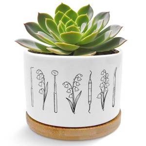 lot 2404 image: EVIHCG Dental Gifts for Coworkers Women Planter Pots, Gifts for Dentists, Vintage Floral Dentist Ceramic Succulent Plant Flower Planters for Home Office Desk Table Shelf(No Plants)