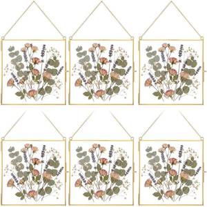 lot 3565 image: Treela 6 Pcs Double Glass Frame for Pressed Flower 8 x 8 Inch, Clear Metal Hanging Photo Frame Square Floating Frames with Chains for Photo Display Pressed Flower Frames Handicraft Gift (Gold)