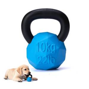 lot 4162 image: MECOOL Indestructible Dog Toy for Aggressive Chewers - Heavy Duty Chew Ring with Durable Nylon and Treat Dispenser Rubber Base, Interactive Food Puzzle Dog Chew Toy,Medium Blue for Puppy