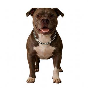 lot 4187 image: Cwyza Silver Dog Chain Necklace �� Fashionable Cuban Link, Adjustable, Lightweight & Durable Metal Decoration (Silver, 12(Neck Fits 9��11.5IN))