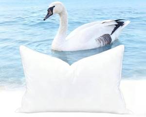 lot 5967 image: LORESNUG Luxury Canadian White Goose Down Pillows, Soft 1340 Fill Power with 100% Cotton Shell Down Pillow, 80% Goose Down and 20% Goose Feathers for Hotel Bed Pillow, Standard Size(20x26 1 Pack)