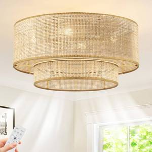 lot 5990 image: XYLLIFY Boho Rattan Caged Fandelier Ceiling Fan with Light and Remote