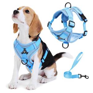 lot 6108 image: Jolifield Dog Harness Small Sized Dog Pet Vest with Leash Set Blue M