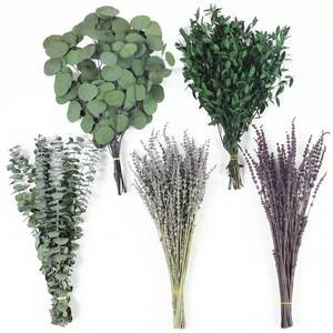 lot 7805 image: 120 Pcs Mixed Dried Eucalyptus Stems & Lavender Flowers for Shower