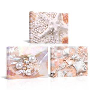 lot 8007 image: FuShvre Coral Color Wall Decor Seashell Bathroom Pictures Wall Art Coastal Canvas Painting Prints Framed 12x16x3pcs