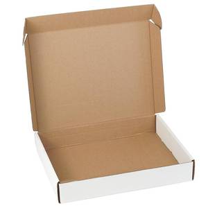 lot 11557 image: 10 Pack 12x9x2 inch Small Shipping Boxes White Corrugated Cardboard Box for Small Business, Mailer, Shipping, and Packing