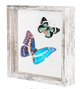 lot 2355 image: 8x8 Shadow Box Frame with Soft Linen Back - Metal Push Pins Included, Memory Box Display Case for Memorabilia Flower Awards Medals Wedding Photos, Rustic White