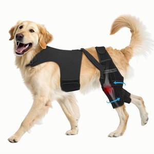 lot 2093 image: Pawfun Dog Knee Brace for Torn ACL Hind Leg�� XL
