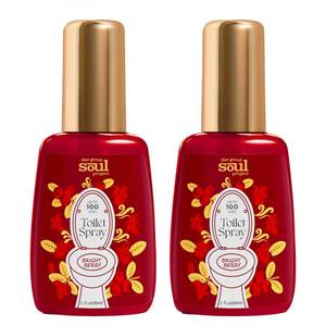 lot 2304 image: THE GOOD SOUL PROJECT Holiday Toilet Spray, Bright Berry, 4 Fl.Oz, Up to 200 Uses, Travel Essentials, Bathroom Odor Deodorizer, Air Freshener Spray
