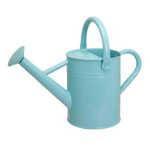lot 3576 image: Lechloris Metal Watering Can for Outdoor Plants, 1 Gallon Galvanized Steel Watering Can with Removable spout for Outdoor & Indoor Use, Perfect for Garden Flower, Houseplants, Mint