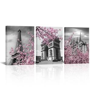 lot 3583 image: iKNOW FOTO Paris Wall Decor for Bedroom & Bathroom - 12x16 Framed Canvas Prints Set, Eiffel Tower, Notre Dame, Arc de Triomphe with Cherry Blossom - Pink, Black & White Modern Home Art