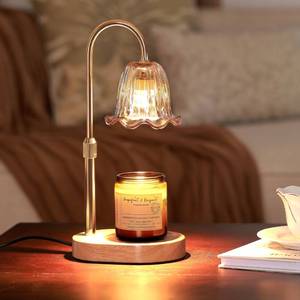 lot 5241 image: Homelist Candle Warmer with Timer Dimmable with Charming Gift Box