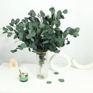 lot 6455 image: 30 Pcs Real Dried Eucalyptus Stems, 17 Preserved Eucalyptus Silver Leaves