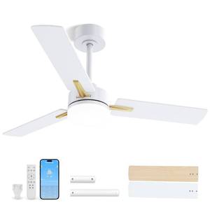 lot 7819 image: LANMEL Low Profile Flush Mount Ceiling Fan with Light and Remote, 42 Inch