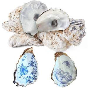 lot 7859 image: 15Pcs Oyster Shells for Crafts, 4-5 Inch Natural Oyster Shells Bulk, Large Sea Shell for Crafting and DIY Painting, Beach Themes and Wedding Decor, Home Vase Fillers, and Xmas Ornaments