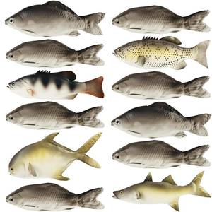 lot 8090 image: Norcoin 12 Pcs Realistic Fake Fish Toy Artificial Lifelike Sea Fishing Model Props Set for Market Display Home Kitchen Decor Party Photography Props Simulated Fish Ornaments (6 Styles)