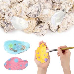 lot 8095 image: YATOJUZI 5-6 Large Oyster Shells 10PCS Natural Oyster Shells for Crafts Vase Fillers Bulk Wholesale DIY Accessories Sea Shells Home Arts Decor Ornaments