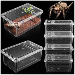 lot 20412 image: Small Jumping Spider Enclosure - 6 Pack Spider Terrariums, Breeding Box, Transparent Hatching Container, Plastic Feeding Box - 6 Pcs Super Mini