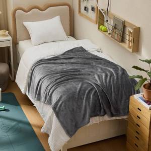 lot 1642 image: Bedsure GentleSoft Fleece Blanket Twin XL Grey - College Dorm Room Essentials for Guys and Girls Soft Warm Throw Blanket Dorm Room Decor, 66x90 inches
