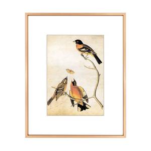 lot 2061 image: BKABOT 8x10 Gold Aluminum Picture Frame HD Glass 1Pack 5x7 Mat Wall Table