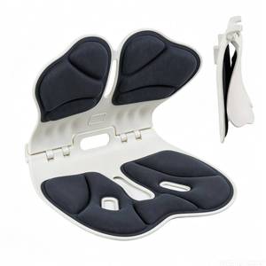 lot 3633 image: Foldable Lumbar Support Seat Cushion for Office Chair, Ergonomic Posture Corrector with Hip and Lower Back Support, Chair Back Support for Long Sitting, Home, Work & Travel