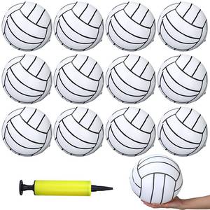 lot 4335 image: Poen 12 Pcs Inflatable Volleyball 8 Inch Water Pool Volleyball with Pump Sports Blow up Beach Balls for Adults Teenagers Outdoor Summer Swimming Pool Game Party Favors